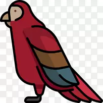 鸟嘴夹艺术鹦鹉png图片洛罗公园-鹦鹉