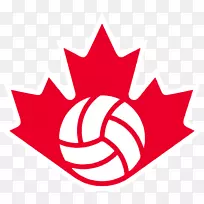 加拿大男子排球队帕克门排球俱乐部米尔顿青年排球俱乐部-加拿大米尔顿边缘排球之家-排球