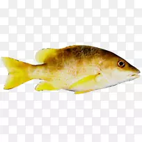png图片图像剪辑艺术CMYK彩色模型鱼