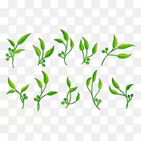 嫩枝植物茎叶插花艺术