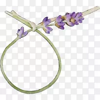 开花植物茎紫色身饰