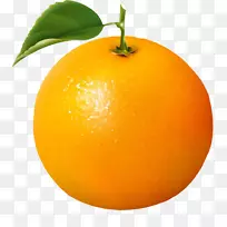 新鲜橙子剪贴画图形插图
