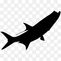 安魂利鲨鱼剪贴画动物线