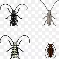 长角甲虫剪贴画犀牛甲虫插图-甲虫