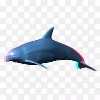 png图片剪辑艺术图像海豚透明度海豚
