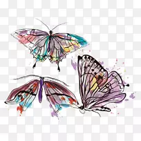 临时纹身防水纹身贴纸昆虫图形.花蝴蝶