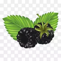 黑莓浆果覆盆子草莓黑莓