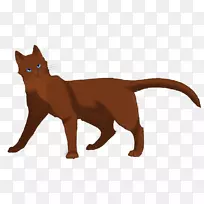 最黑暗时刻的猫儿武士向明星许下承诺，艾琳猎人-狮子心卡通