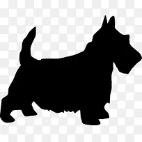 苏格兰小猎犬约克郡猎犬西高地白色猎犬赛莱姆猎犬