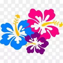 插画夏威夷花卉图像绘图-梅格图形