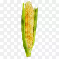 玉米对玉米的膳食补充剂甜玉米仁
