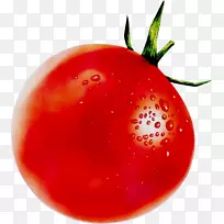李子番茄免费影像摄影