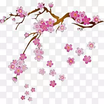 樱花纸枝设计