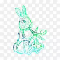家养兔子复活节兔子剪贴画