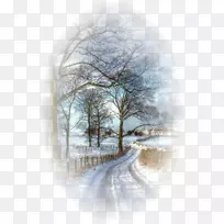 冬季照片雪像路-冬天