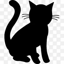 小猫胡须，黑猫，家养短毛猫
