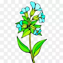花卉设计剪贴艺术切花图片-邦加隆加·佩尔西克m