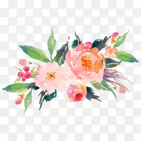 水彩画：花卉水彩画png图片绘画