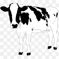 奶牛，泽西牛，牛磺酸牛，高地牛，牛犊