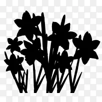 字体剪影开花植物叶型