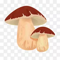 月饼食用菌普通蘑菇剪贴画蘑菇