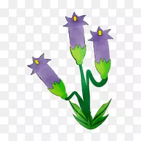开花植物茎紫色植物
