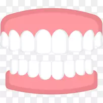 人牙产品义齿健康弹力牙
