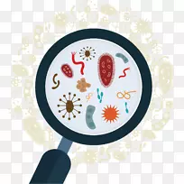 图形库图解微生物细菌微生物学