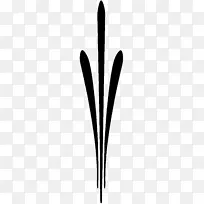 字形手指线