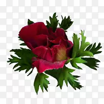 花园玫瑰切花日间花卉设计
