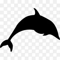图库西虎鲸海豚剪贴画动物