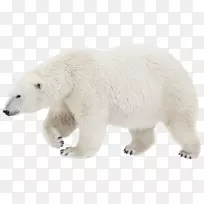 北极熊棕熊摄影透明度-北极熊