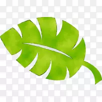 绿叶植物茎