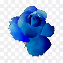 蓝玫瑰花园玫瑰切花