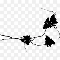 昆虫植物茎、叶、枝、剪贴画