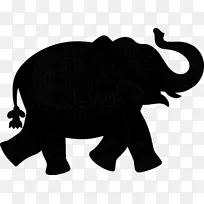 印度象非洲象动物野生动物