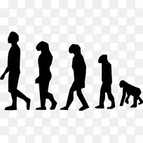 进化脊椎动物生物尼安德特人