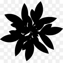 图案对称线叶开花植物
