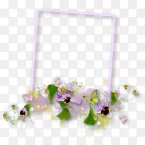 图像花卉设计中心博客画框.BERBERIS边框