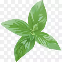罗勒图形png图片药草香料盆景按钮