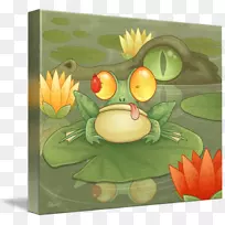 树蛙插图画家-青蛙