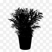 棕榈树黑白花盆栽植物