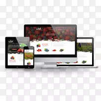 吉隆坡网站网页设计网页开发-网页设计