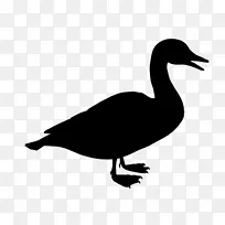鸭黑白剪贴画动物轮廓