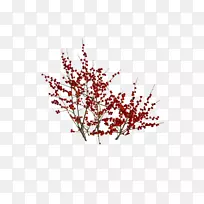 樱花小枝艺术绘画-樱花
