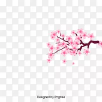 樱花png图片图形剪贴画樱花