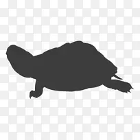 海龟剪贴画png图片图像剪影-海龟
