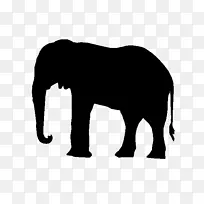 非洲象印度象黑白陆地动物