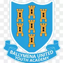 巴利梅纳联合F.C.鲍利梅纳青年学院，鲍莱梅纳联合足球俱乐部有限公司，百科全书
