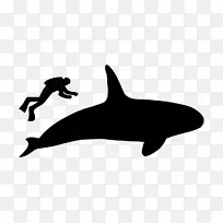 海豚黑白剪贴画动物